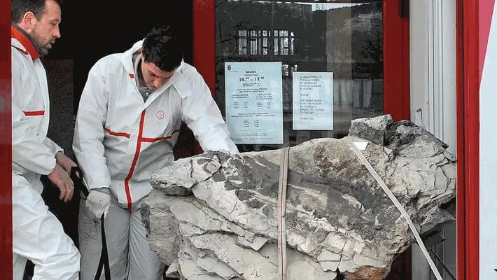 La stampa-Esposto a Trieste Bruno: è il dinosauro più grande ritrovato in Italia