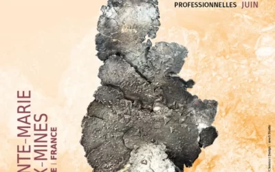 Zoic Srl alla fiera internazionale Mineral & Gem 2025