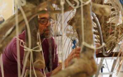 Paleontologia. Ricerca. Conservazione.