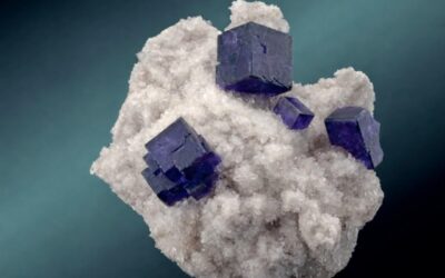 Zoic al Bologna Mineral Show 2026